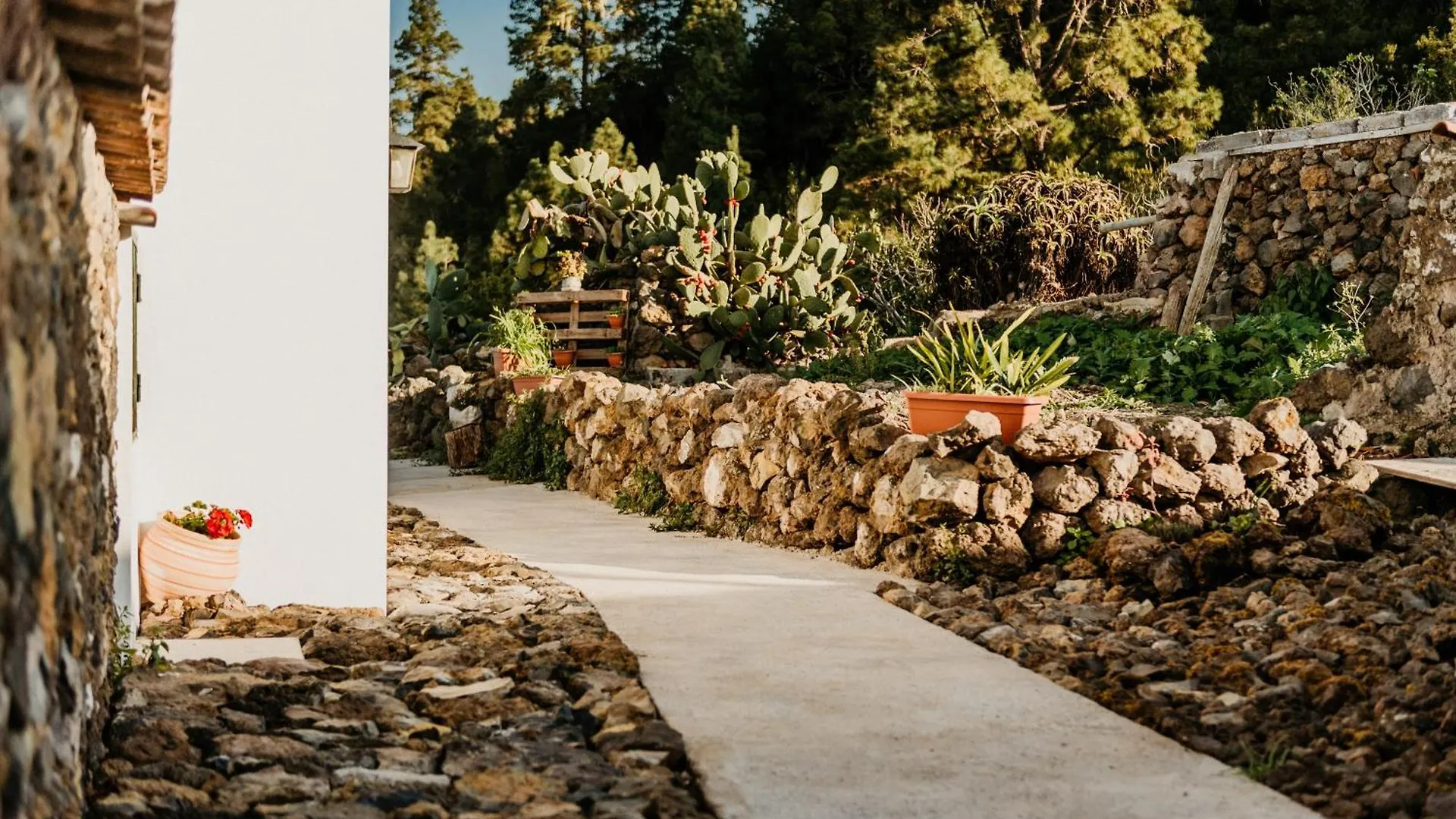 Chalé Casa Las Carballas Isabel Icod De Los Vinos Espanha