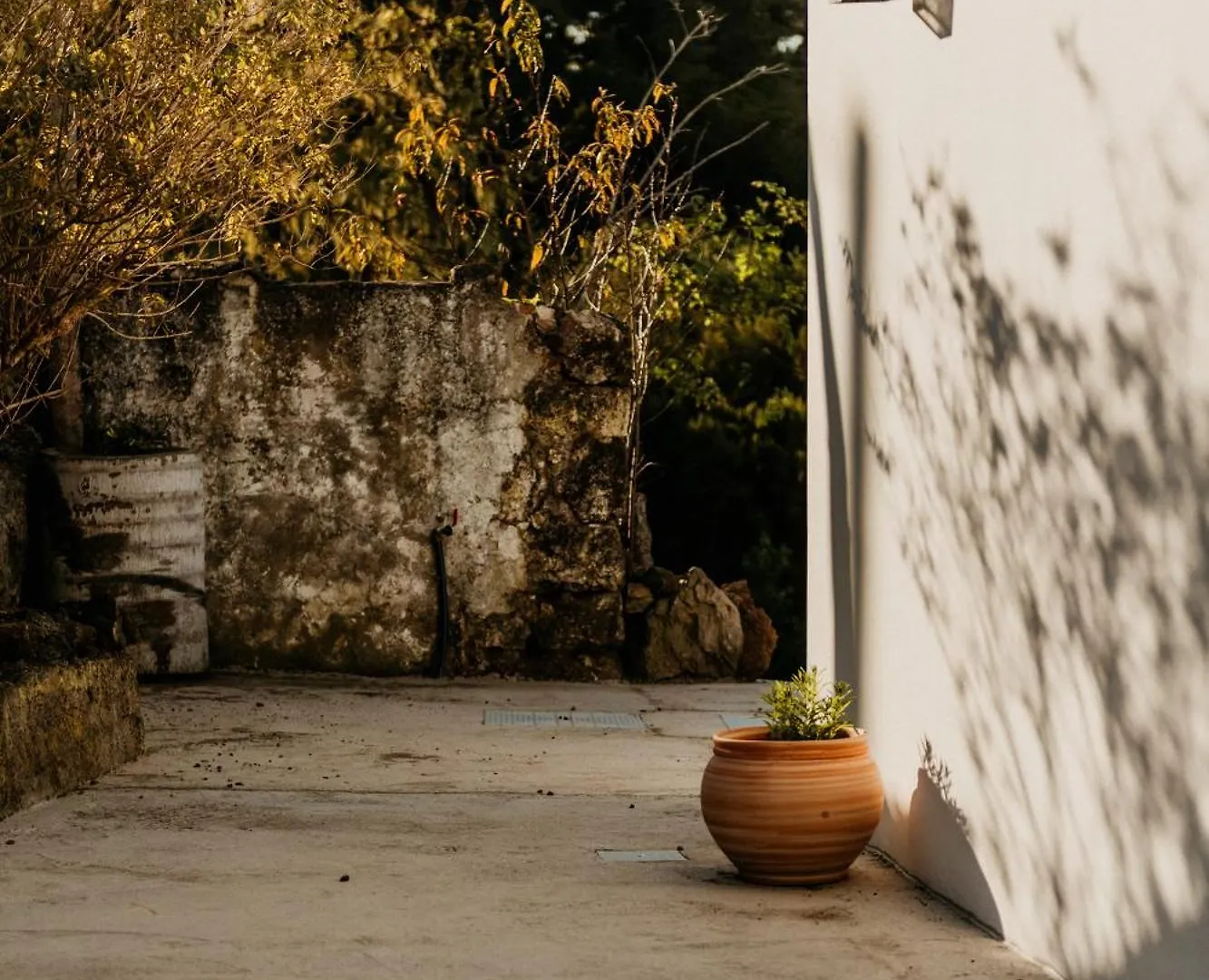 Casa Las Carballas Isabel Icod De Los Vinos 0*,  İspanya